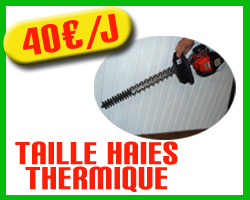 location taille-haies 44, location taille-haies 35, louez votre taille-haies avec Rougé motoculture 44